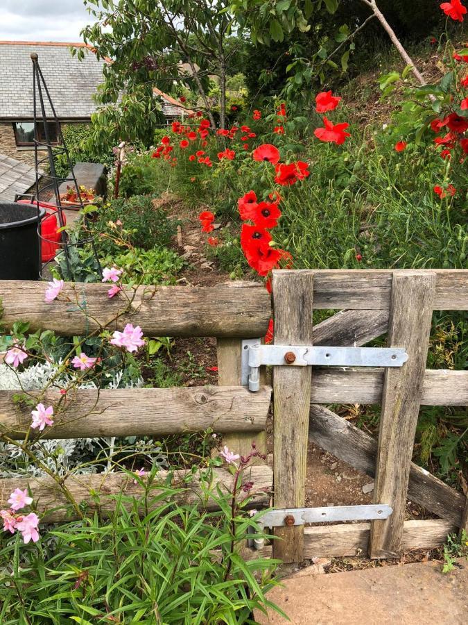 Higher Greenway Annexe Brixham Εξωτερικό φωτογραφία